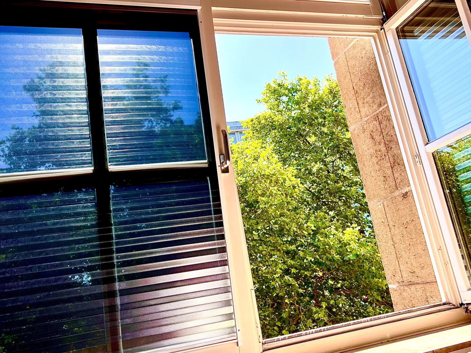 Offenes Bürofenster an einem sonnigen Tag